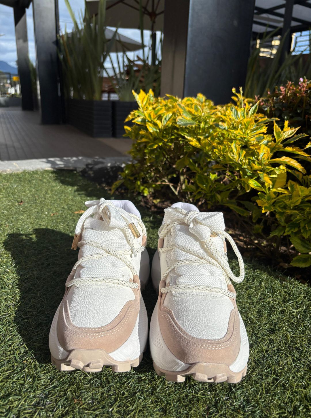 Tenis Roma coffe